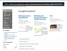 Tablet Screenshot of kolisz.pl